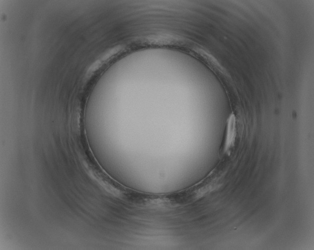 X0000081280446200702012223