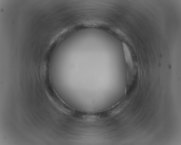 X0000081280448200702012223