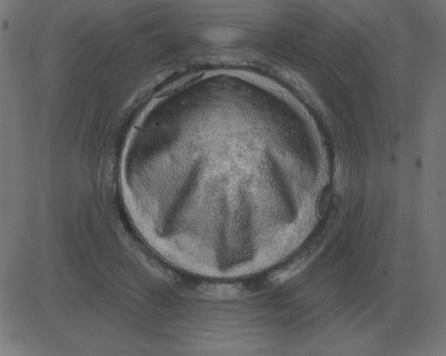 X0000081280449200702012223