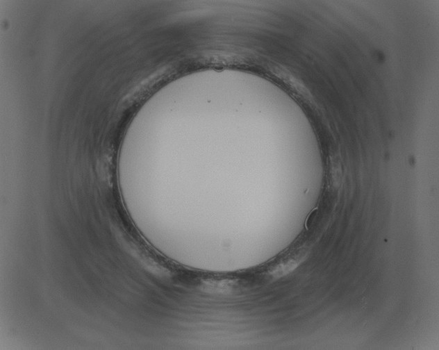 X0000081280450200702012223