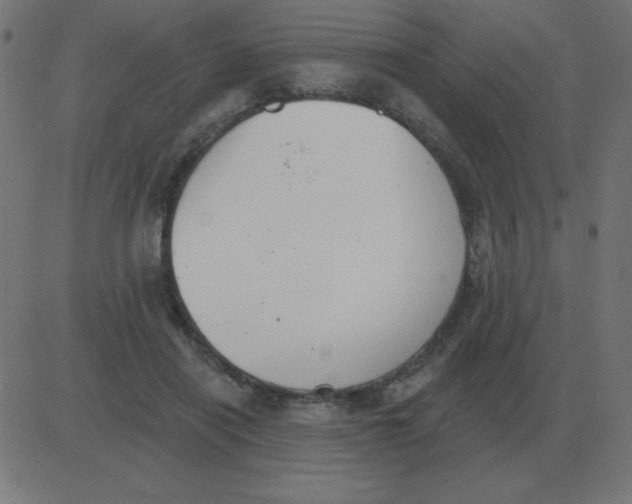 X0000081280454200702012223