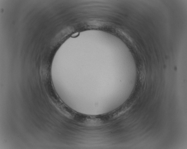 X0000081280455200702012223