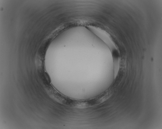 X0000081280456200702012223