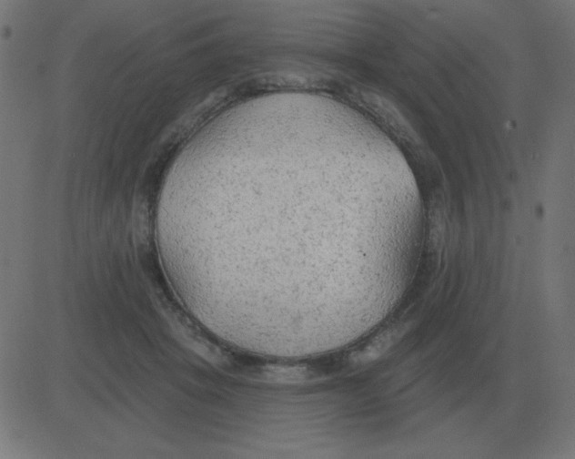 X0000081280457200702012223