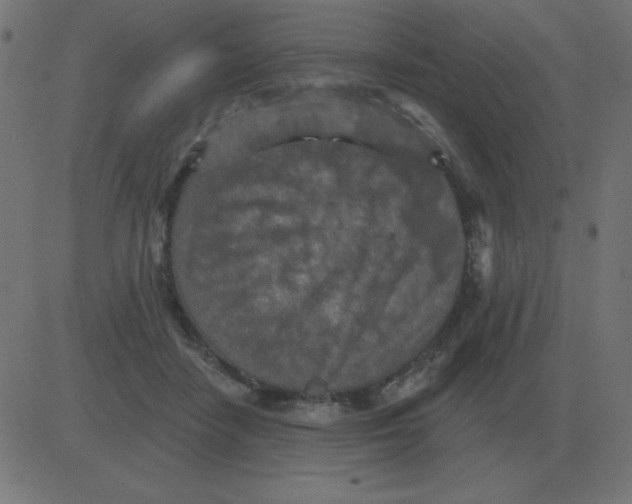 X0000081280458200702012223