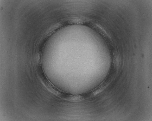 X0000081280459200702012223