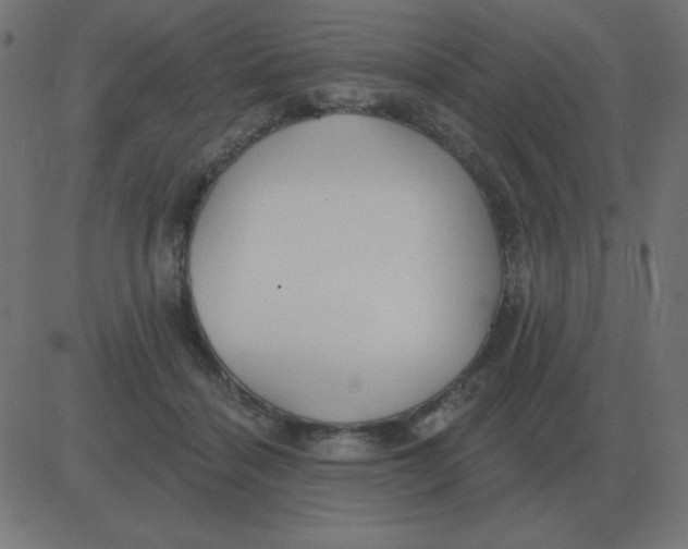 X0000081280460200702012223