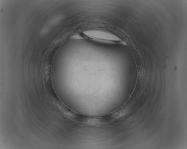 X0000081280462200702012223