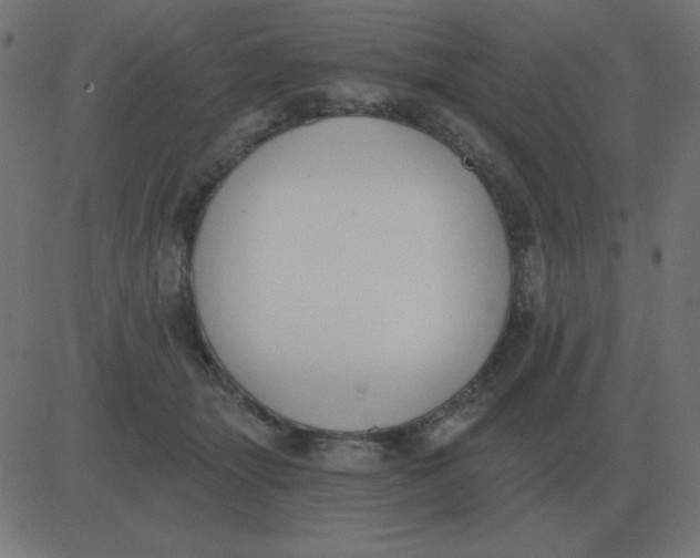 X0000081280463200702012223