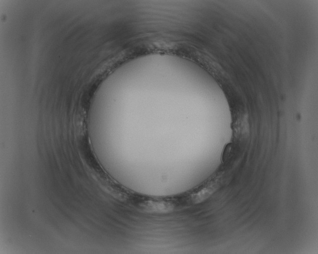 X0000081280464200702012223