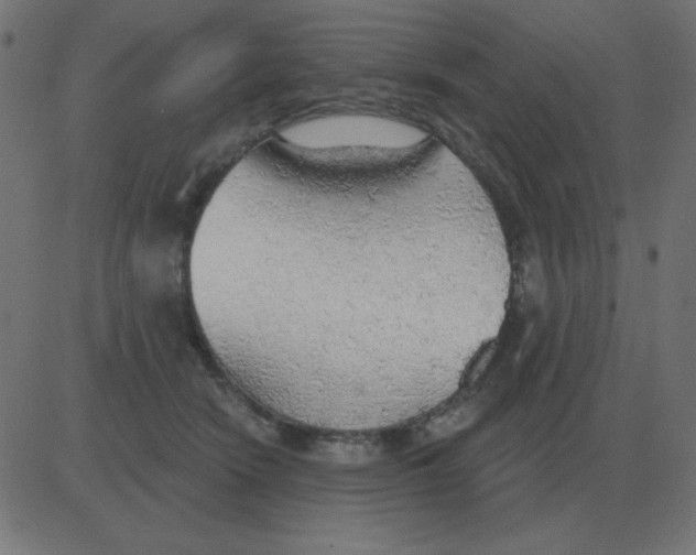 X0000081280466200702012223