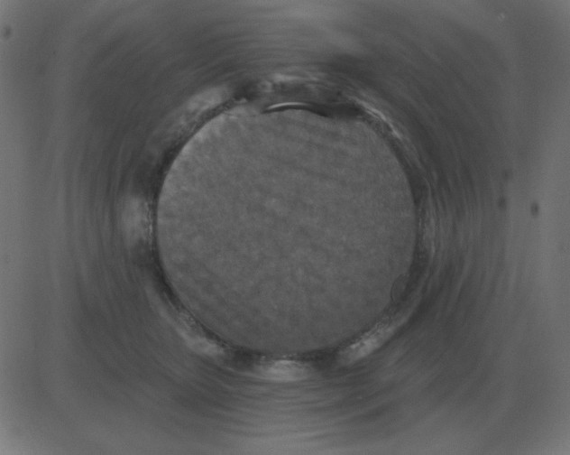 X0000081280467200702012223