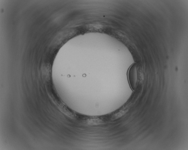 X0000081280468200702012223