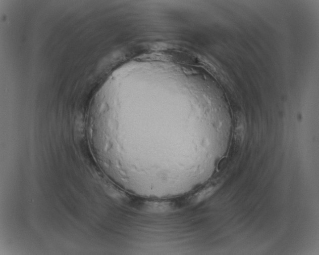 X0000081280469200702012223