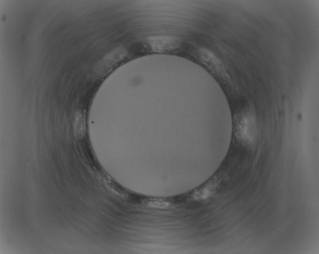 X0000081280471200702012223