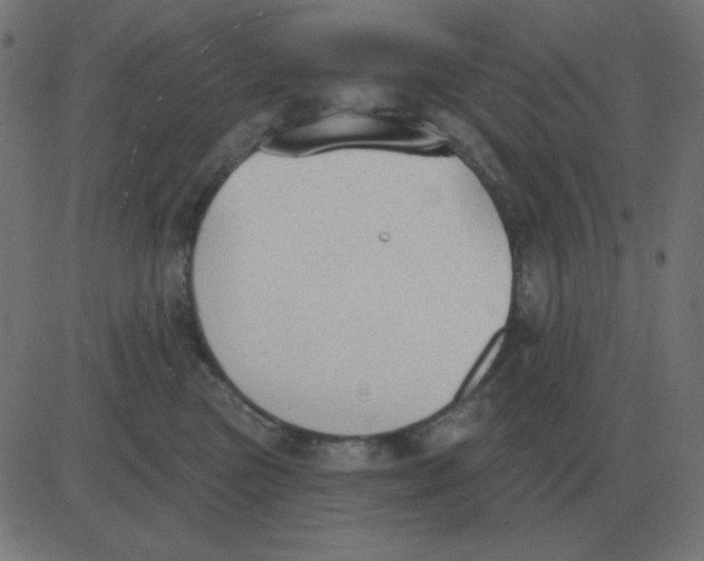 X0000081280473200702012223