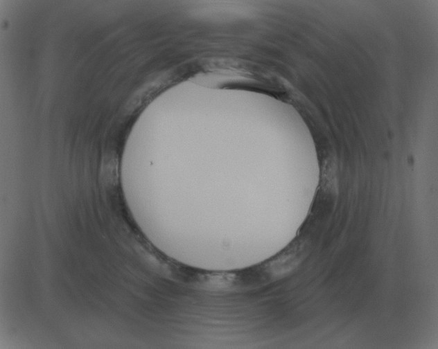 X0000081280474200702012223