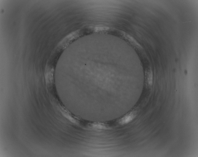 X0000081280475200702012223