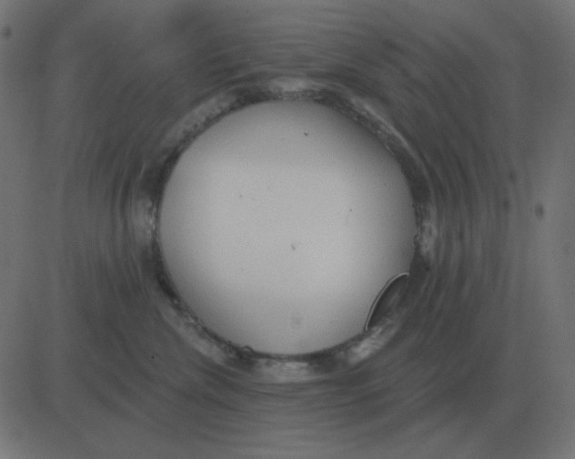 X0000081280476200702012223