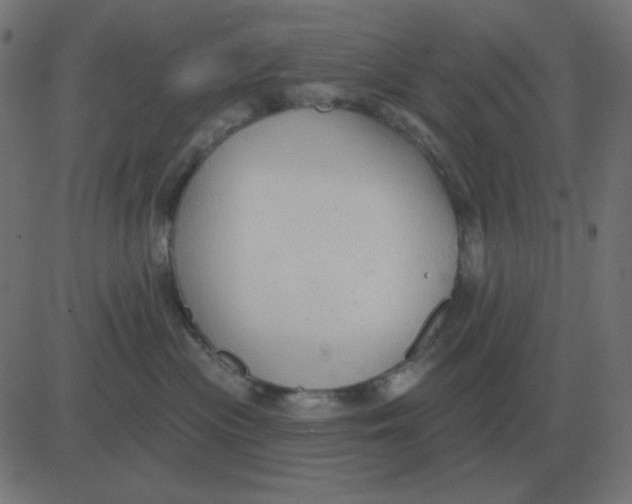 X0000081280477200702012223