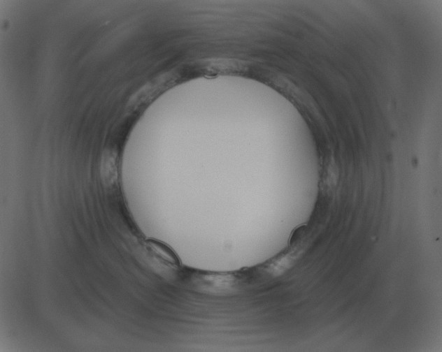 X0000081280478200702012223