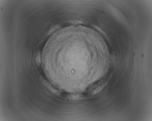 X0000081280479200702012223