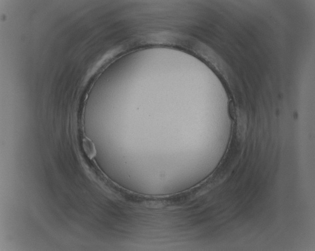 X0000081280482200702012222