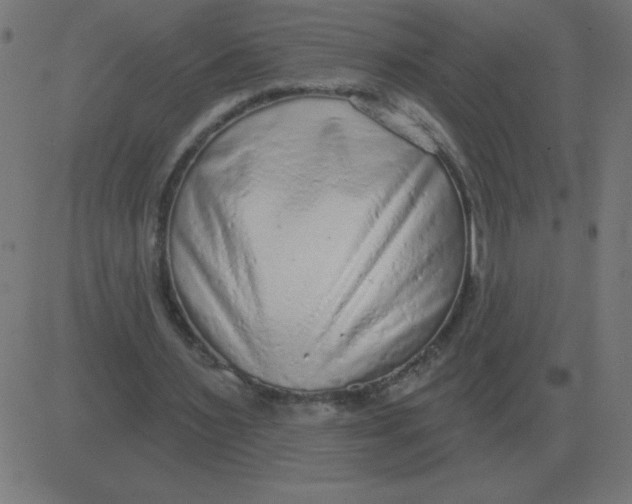 X0000081280483200702012222