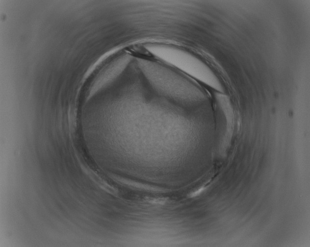 X0000081280484200702012222