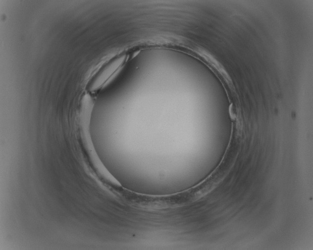 X0000081280485200702012222