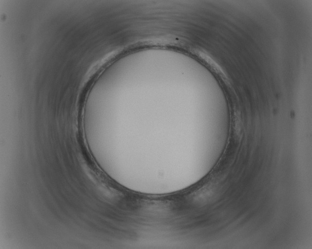 X0000081280486200702012222