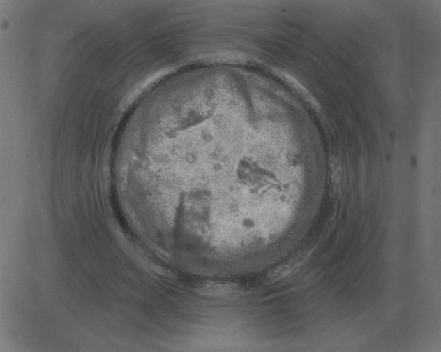 X0000081280487200702012222