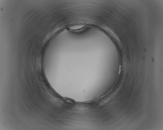 X0000081280489200702012222