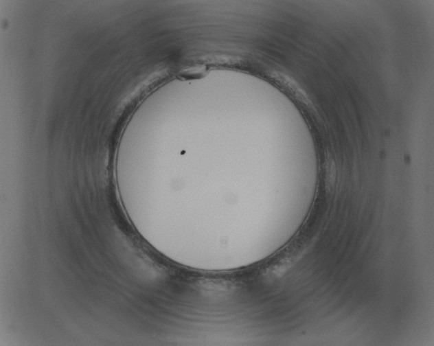 X0000081280490200702012222