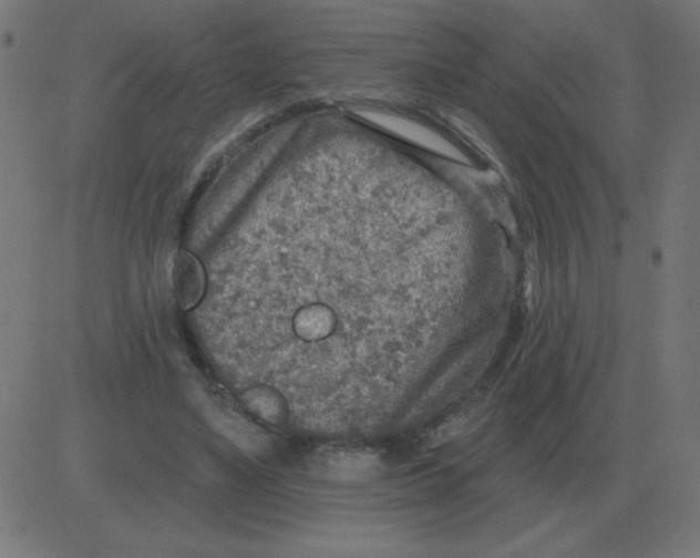 X0000081280491200702012222