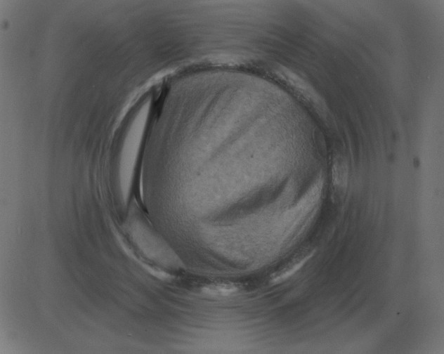 X0000081280492200702012222