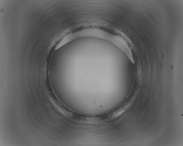 X0000081280493200702012222