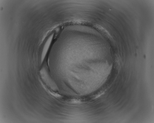 X0000081280496200702012222