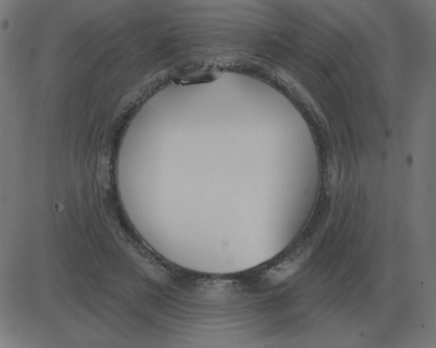 X0000081280497200702012222