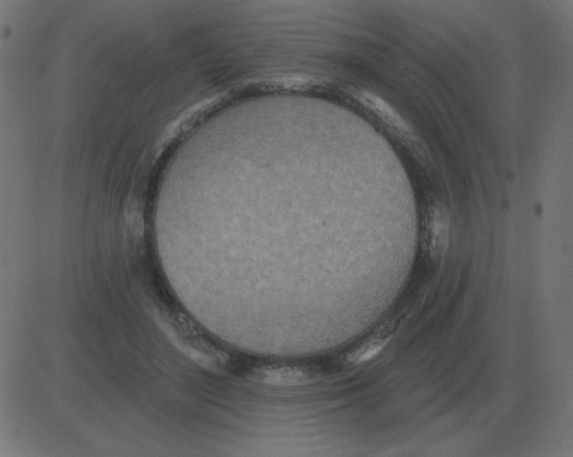 X0000081280500200702012222