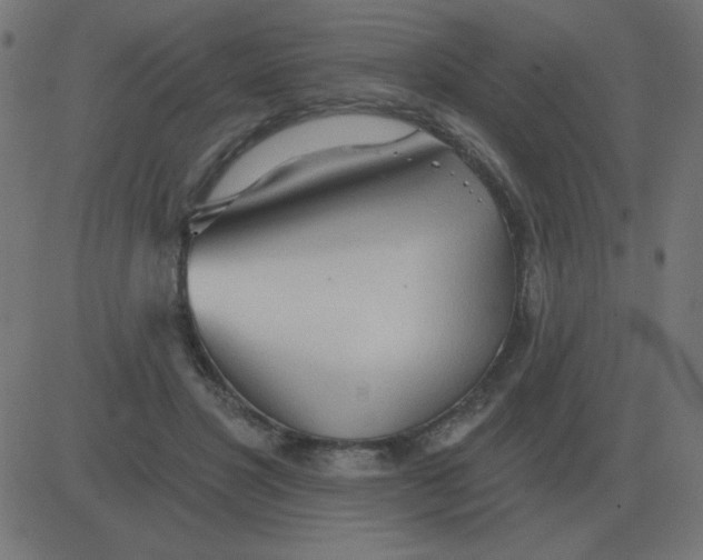 X0000081280501200702012222