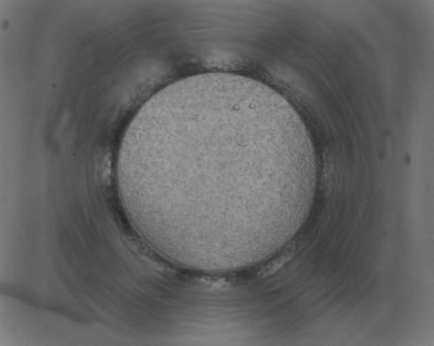 X0000081280502200702012222