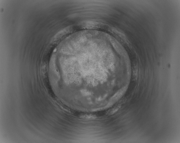 X0000081280503200702012222