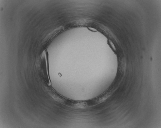 X0000081280505200702012222