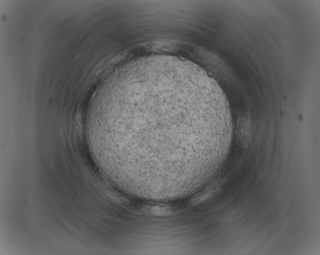 X0000081280506200702012222