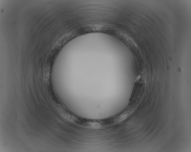 X0000081280509200702012222