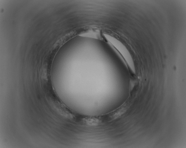 X0000081280512200702012222