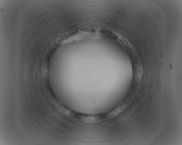 X0000081280513200702012222