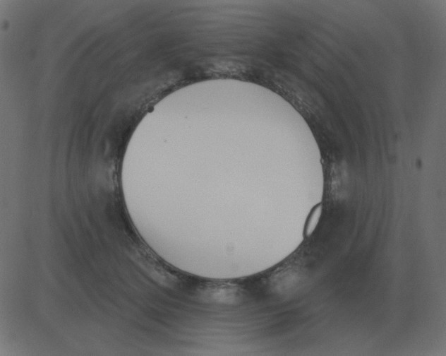 X0000081280514200702012222