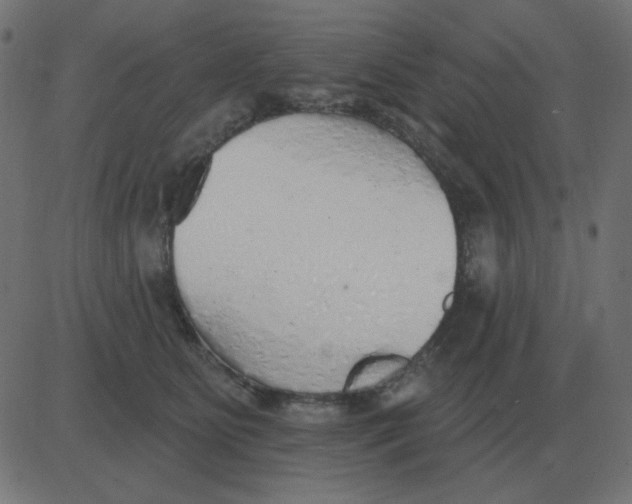 X0000081280515200702012222